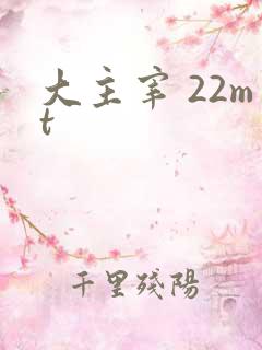 大主宰 22mt