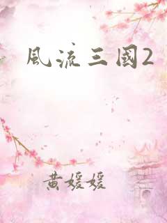 风流三国2