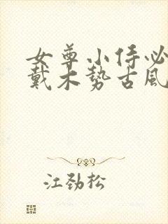 女尊小侍必须佩戴木势古风