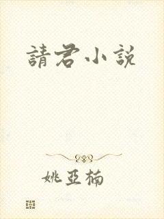请君小说