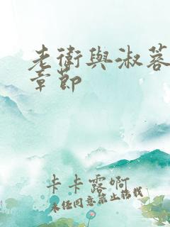 老卫与淑蓉全部章节