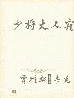 少将大人宠宠我