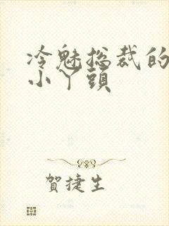 冷魅总裁的纯纯小丫头