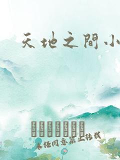 天地之间小说