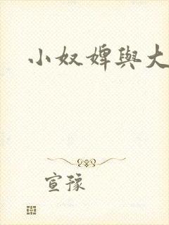 小奴婢与大少爷