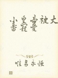 小皇帝被大臣轮番宠爱