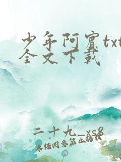 少年阿宾txt全文下载