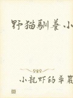 野猫驯养小说