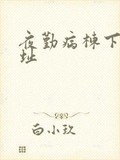 夜勤病栋下载地址