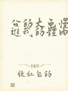 公的大龟慢慢挺进我的体内