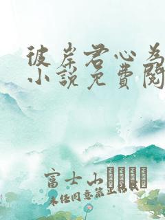 彼岸君心为我倾小说免费阅读