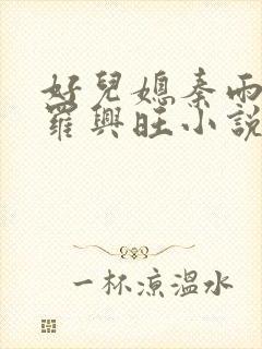 好儿媳秦雨罗明罗兴旺小说