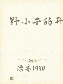 野小子的升官路