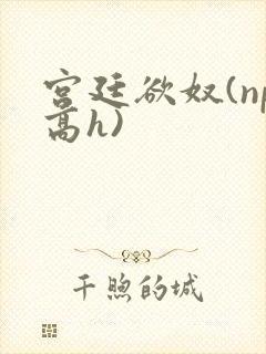 宫廷欲奴(np高h)