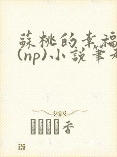 苏桃的幸福生活(np)小说笔趣阁沐沐