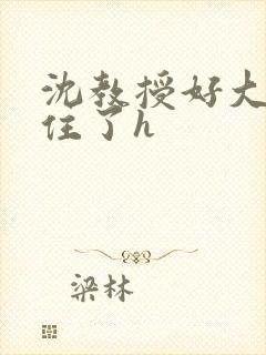 沈教授好大含不住了h