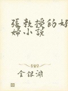 张教授的好儿媳妇小说