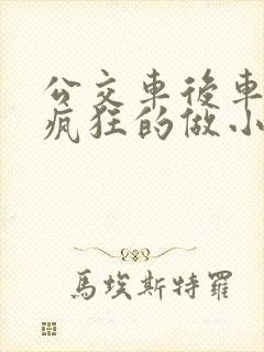 公交车后车座的疯狂的做小