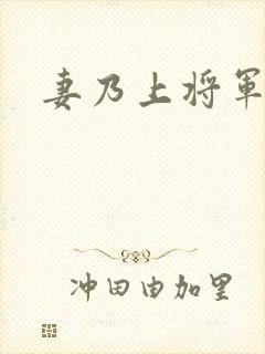 妻乃上将军下载