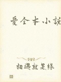 爱全本小说网