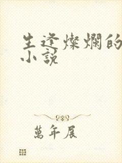 生逢灿烂的日子小说