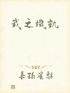 武之机凯