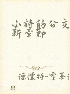 小诗的公交车最新章节