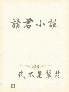 请君小说