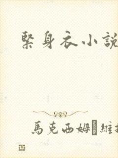 紧身衣小说