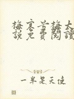 梅寒兮梅太颜小说免费阅读