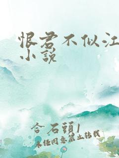 恨君不似江楼月小说