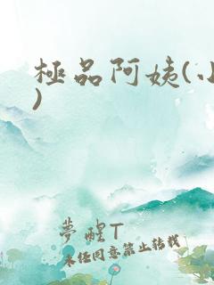 极品阿姨(小说)