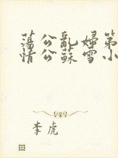 荡公乱妇第1章情公苏雪小说