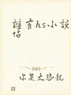 谁有hs小说网站