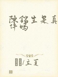 陈铭生是真实事件吗