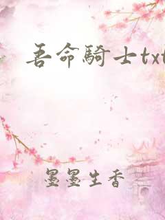 吾命骑士txt