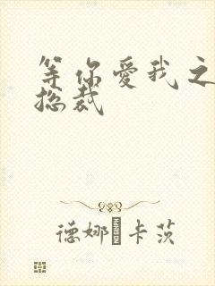 等你爱我之冰山总裁