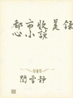 都市收美录宁素心小说
