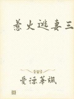 惹火逃妻三带一