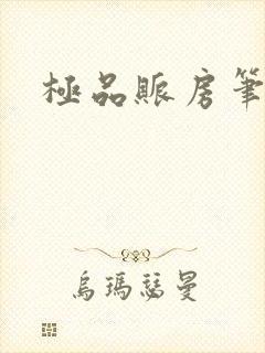 极品账房笔趣阁