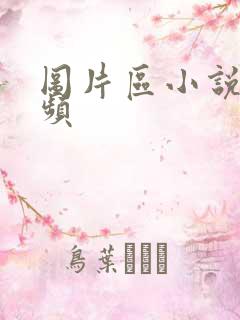 图片区小说区视频