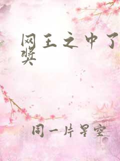 网王之中了特等奖