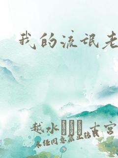 我的流氓老师
