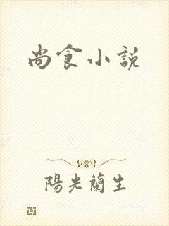 尚食小说