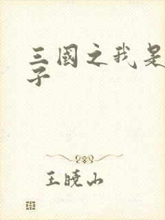 三国之我是皇太子