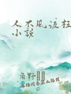 人不风流枉少年小说