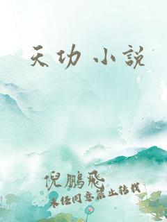 天功 小说