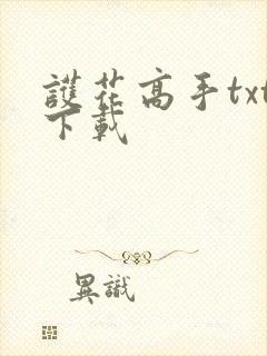 护花高手txt下载