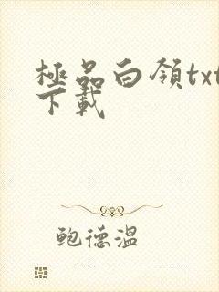 极品白领txt下载