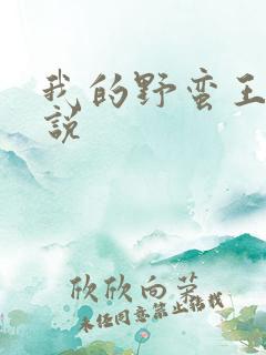 我的野蛮王妃小说